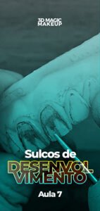 Capas Aulas - Sulcos de Desenvolvimento