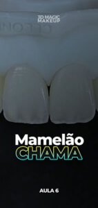 Capas Pintura AdvancedAula 6 - Mamelão Chama